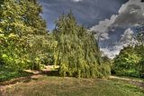 bad_langensalza_07_2016_hdr_280