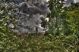 bad_langensalza_07_2016_hdr_281