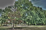 bad_langensalza_07_2016_hdr_282
