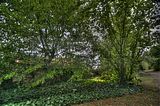 bad_langensalza_07_2016_hdr_284