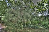 bad_langensalza_07_2016_hdr_288