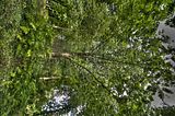 bad_langensalza_07_2016_hdr_289