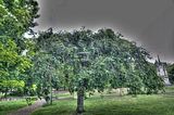 bad_langensalza_07_2016_hdr_301