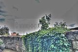 bad_langensalza_07_2016_hdr_303