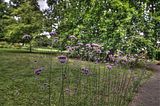 bad_langensalza_07_2016_hdr_306