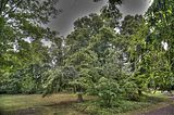 bad_langensalza_07_2016_hdr_318