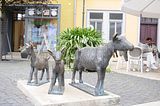 bad_langensalza_07_2016_orig_033