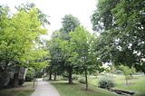 bad_langensalza_07_2016_orig_060