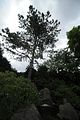 bad_langensalza_07_2016_orig_085
