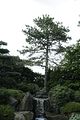 bad_langensalza_07_2016_orig_089