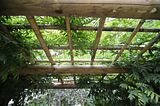 bad_langensalza_07_2016_orig_110