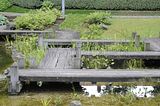 bad_langensalza_07_2016_orig_123