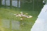 bad_langensalza_07_2016_orig_130