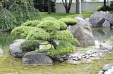 bad_langensalza_07_2016_orig_131