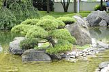 bad_langensalza_07_2016_orig_132