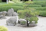 bad_langensalza_07_2016_orig_141