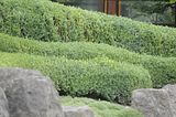 bad_langensalza_07_2016_orig_143