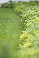bad_langensalza_07_2016_orig_144