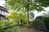bad_langensalza_07_2016_orig_147