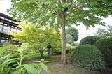 bad_langensalza_07_2016_orig_148