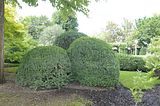 bad_langensalza_07_2016_orig_149