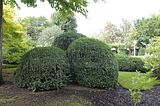 bad_langensalza_07_2016_orig_150