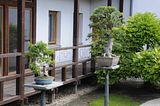bad_langensalza_07_2016_orig_153