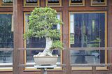 bad_langensalza_07_2016_orig_154