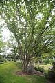 bad_langensalza_07_2016_orig_160