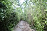bad_langensalza_07_2016_orig_163