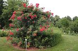 bad_langensalza_07_2016_orig_173