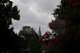 bad_langensalza_07_2016_orig_174