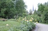 bad_langensalza_07_2016_orig_176