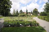 bad_langensalza_07_2016_orig_182