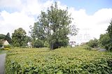 bad_langensalza_07_2016_orig_183