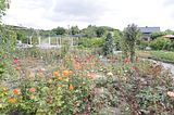 bad_langensalza_07_2016_orig_196