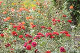 bad_langensalza_07_2016_orig_199