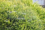 bad_langensalza_07_2016_orig_208