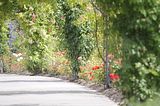 bad_langensalza_07_2016_orig_209