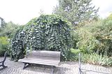 bad_langensalza_07_2016_orig_212