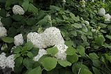 bad_langensalza_07_2016_orig_218
