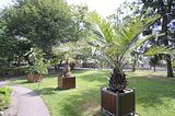 bad_langensalza_07_2016_orig_226