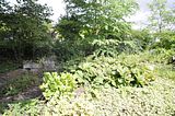 bad_langensalza_07_2016_orig_227