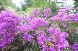 bad_langensalza_07_2016_orig_229