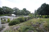 bad_langensalza_07_2016_orig_232
