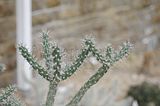 bad_langensalza_07_2016_orig_236