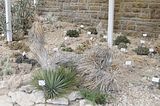 bad_langensalza_07_2016_orig_237