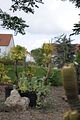 bad_langensalza_07_2016_orig_244