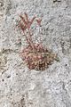 bad_langensalza_07_2016_orig_248