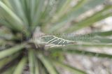 bad_langensalza_07_2016_orig_249